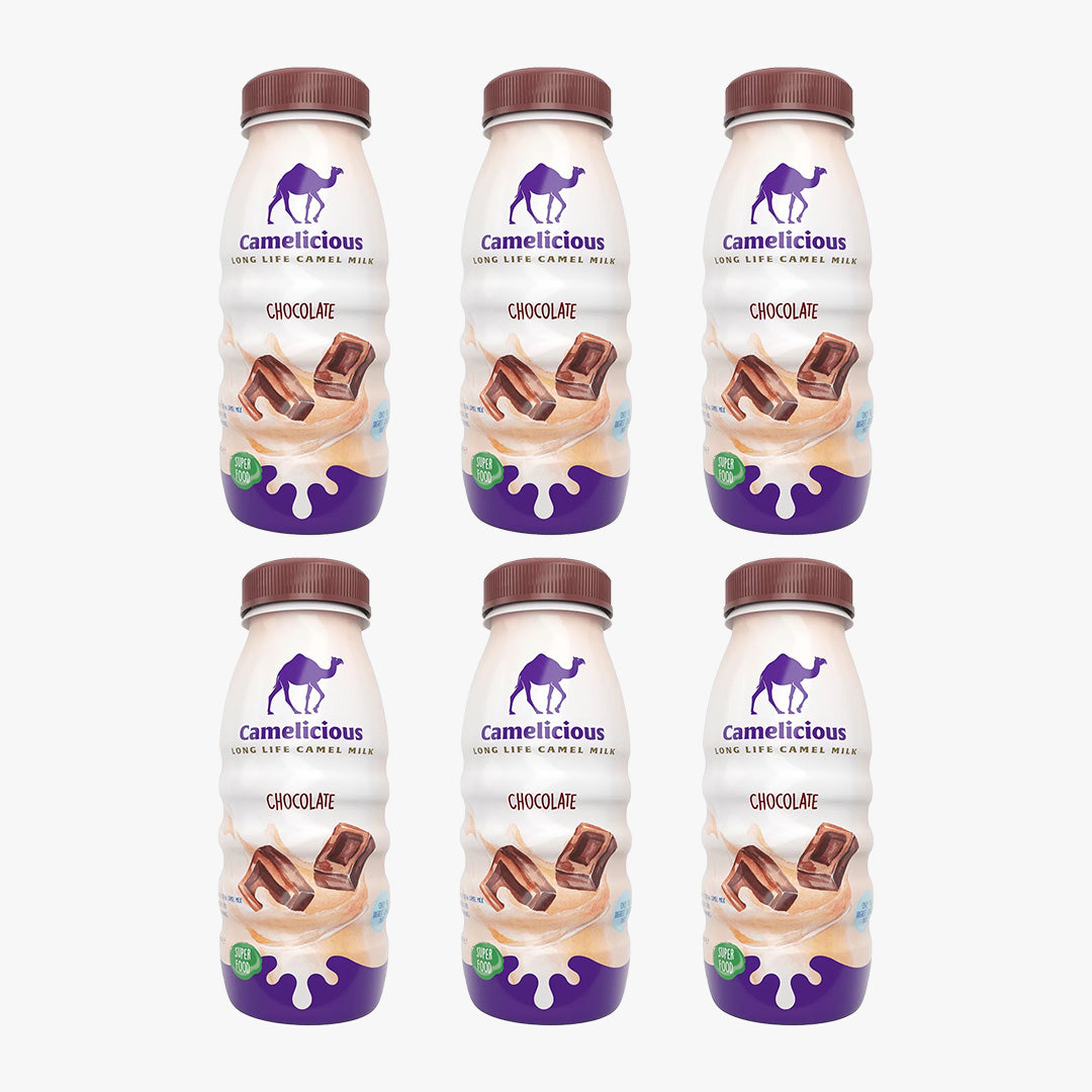 Camelicious Chocolate Flavour (6 × 210ml)