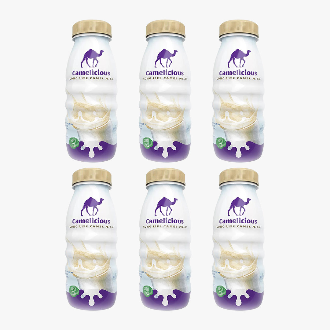 Camelicious Original Flavour (6 × 210ml)