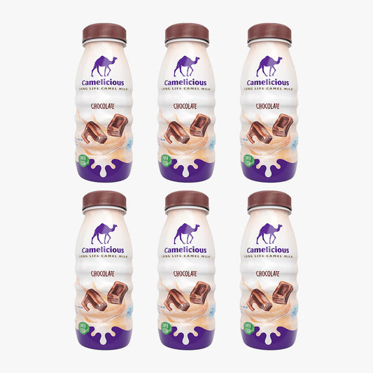Camelicious Chocolate Flavour (6 × 210ml)